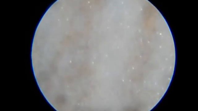 макро-видео