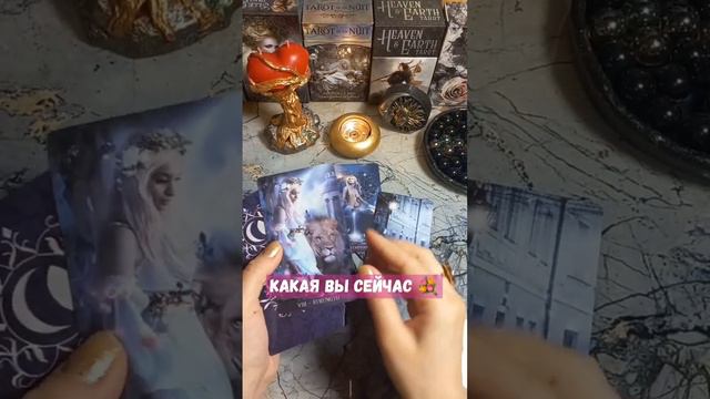ЗАПИСЬ и ДОНАТ по 8 953 315 55 10-только СМС❗️What's App #ЕленаТитова #таро #психология #астрология смотреть онлайн