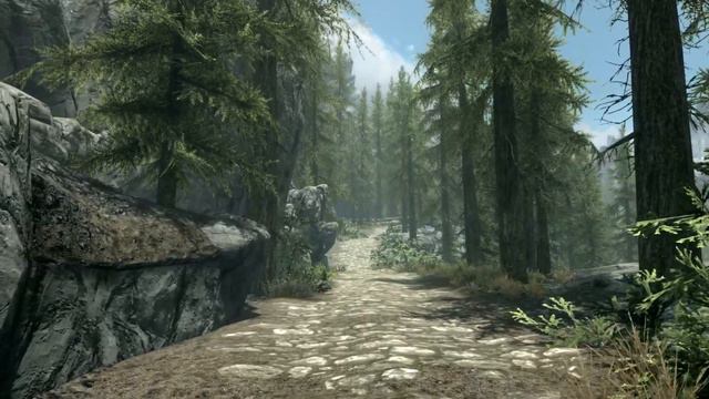 Skyrim Ambience: Peaceful Walk From Pinewatch to Falkreath смотреть онлайн