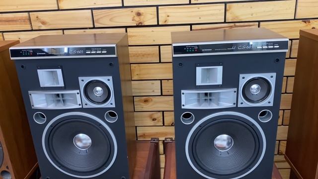 LOA SAN SUI, LOA BOSE, LOA PIONEER, LOA BOSE HÀNG BÃI VỀ NHIỀU TẠI TIẾN DŨNG. смотреть онлайн