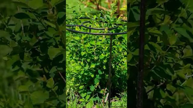 ? Хиты продаж весны 2023 ?, создающие настроение на свежем воздухе ? смотреть онлайн