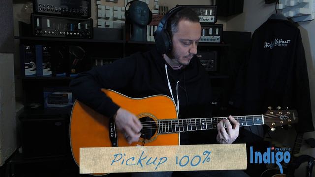 Tест-обзор звукоснимателя SCHERTLER MAGNETICO AG6 смотреть онлайн