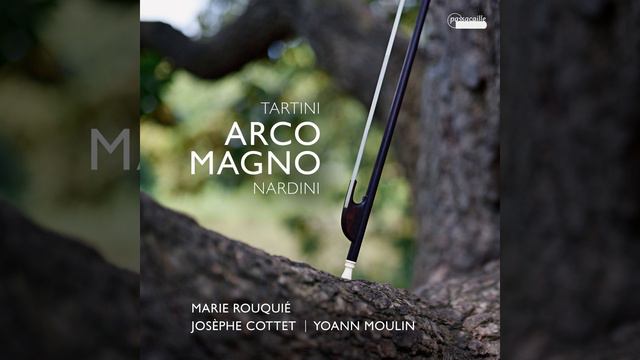 Sonata a violino solo, e basso in G Major, MR. Ib sol2: III. Allegro смотреть онлайн