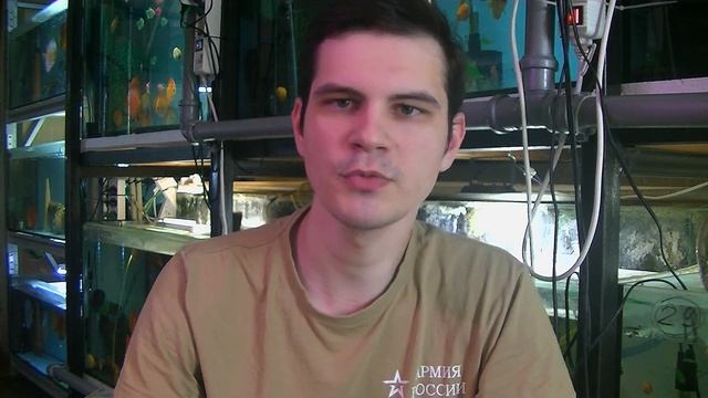 Почему не нерестятся Дискусы? 13 аргументов смотреть онлайн