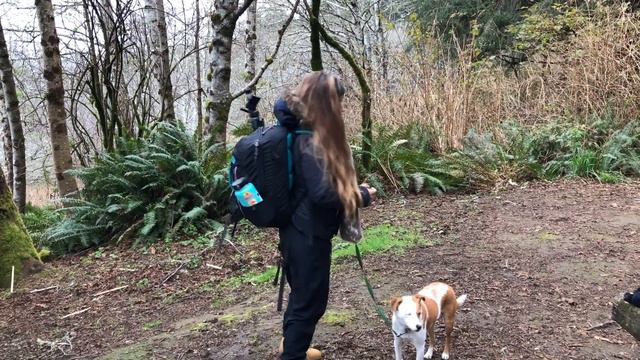HIKING THE REDWOODS / Our first backpacking trip / Oregon bound смотреть онлайн