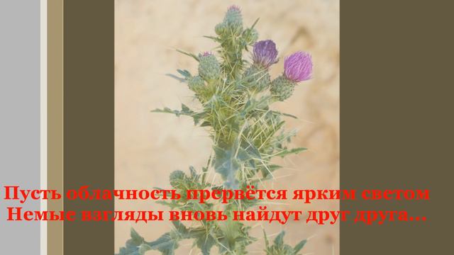 НЕ ОБОРВИ НАДЕЖДЫ ТОНКИЙ КОЛОС... смотреть онлайн