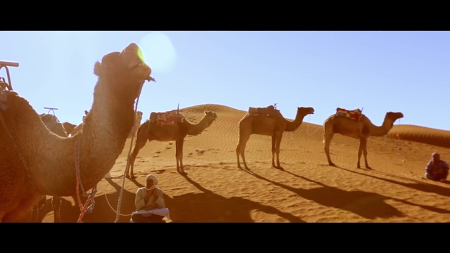 OUM - TARAGALTE (Soul Of Morocco) Official Video смотреть онлайн