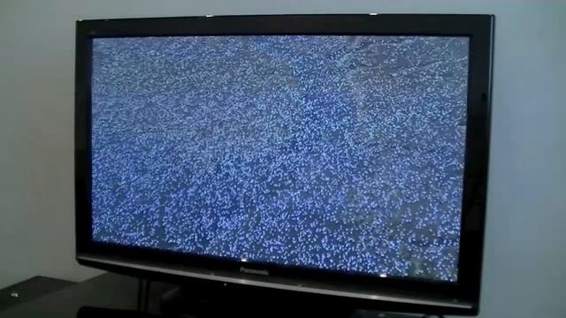 WD HD TV Live: Тест "Птички" смотреть онлайн