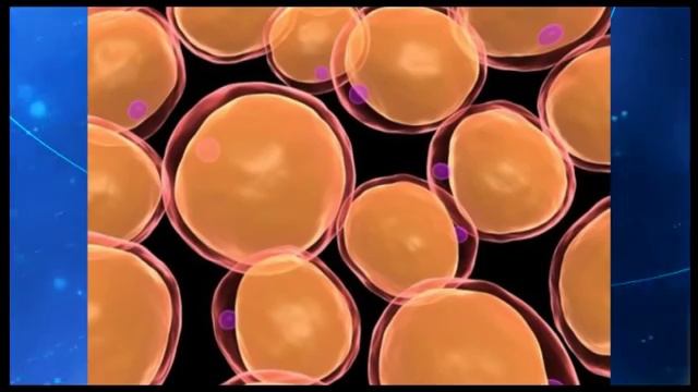 Информационно-молекулярная медицина профессора С.С.Коновалова смотреть онлайн