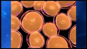 Информационно-молекулярная медицина профессора С.С.Коновалова