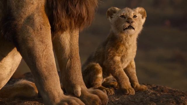 The Lion King 2019 - Albanian - Mufasa shows Simba the kingdom смотреть онлайн