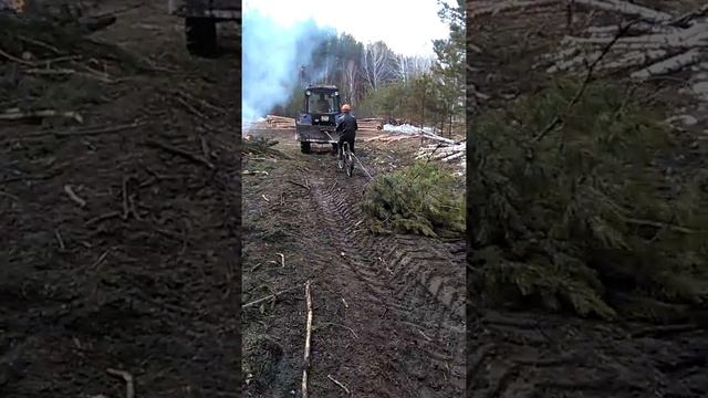 трелюем лес на лесопеде смотреть онлайн