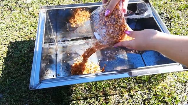 Дикая Природа на Экране