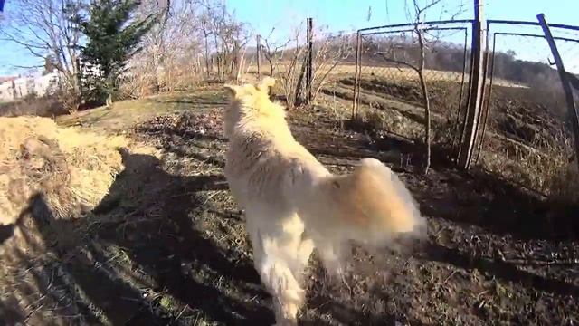 Sony HDR AS20 slowmo test смотреть онлайн