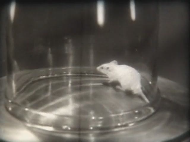 Химия. Подгруппа углерода. Окись углерода