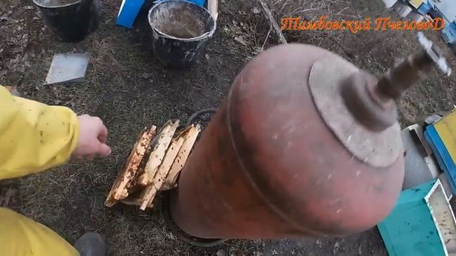 25 марта - Начали весеннюю ревизию на пасеке.