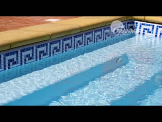 Franmer декор фриз