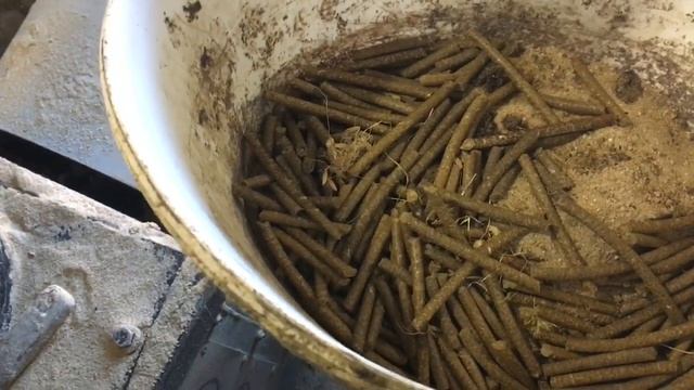 Гранулированная Зеленая Масса После Гидропоники Барботирование Зерна! Granular Hydroponics! смотреть онлайн