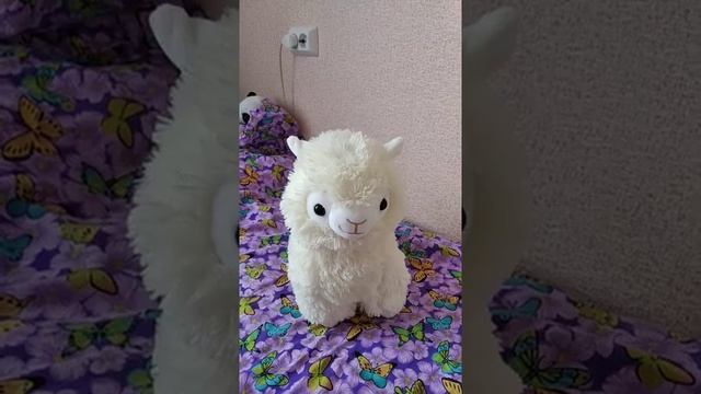 минус  горохового супа