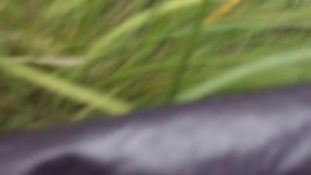 О ИЖ-СПЛ и патронах " Хилти" смотреть онлайн