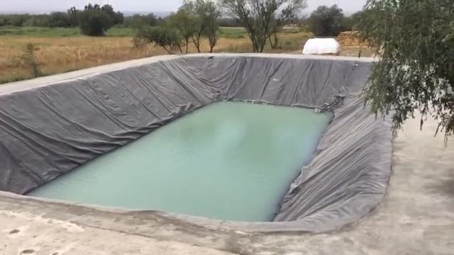 Капельное орошение сада