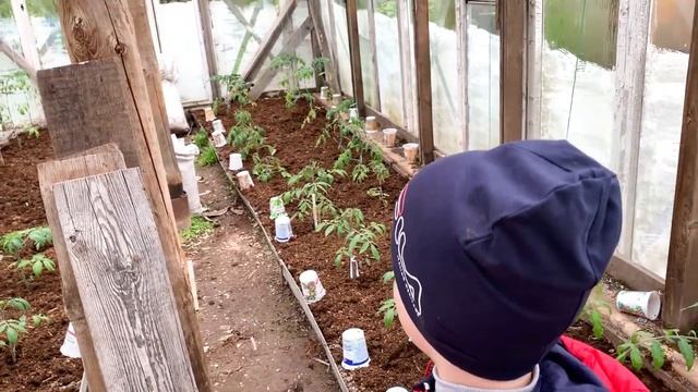Едем на ДАЧУ / ОБЗОР огорода / что у нас выросло смотреть онлайн