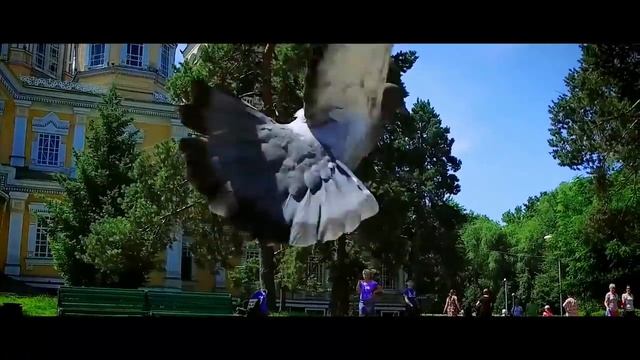 Город Алматы. Almaty City