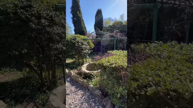 Онлайн экскурсия по дому-музею А. П. Чехова в Ялте смотреть онлайн