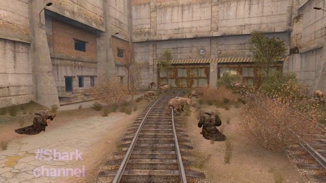 Бюрер VS Химера  (Бой за Жизнь в Зоне)