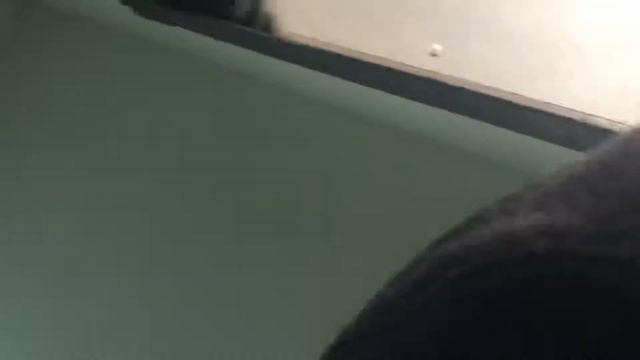 Неправомерные действия полиции,применение силы смотреть онлайн