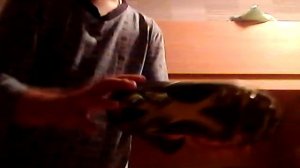 Как научится играть в футбол       урок #1 (футбольный инвентарь тд.)