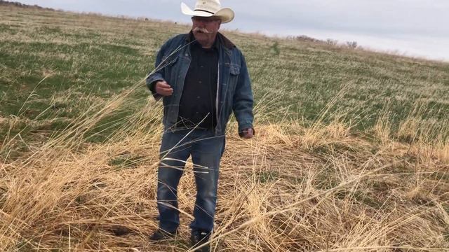 Warner cattle producer shares one of the many benefits to rotational grazing. смотреть онлайн