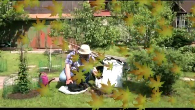 Фильмы о Природе и Экологии