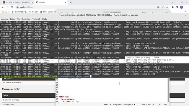 Spring-boot dockerizado microsserviços смотреть онлайн