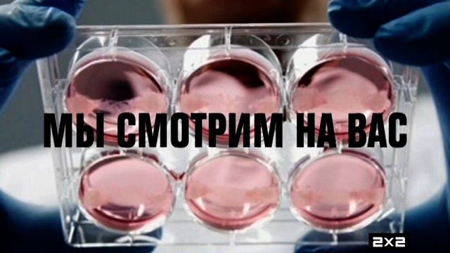 2x2 (19.10.2020, 02:00) Уход на профилактику в 4:3 смотреть онлайн
