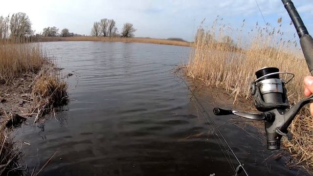 Дика річка кишить Лящами та величезними Карасями. смотреть онлайн