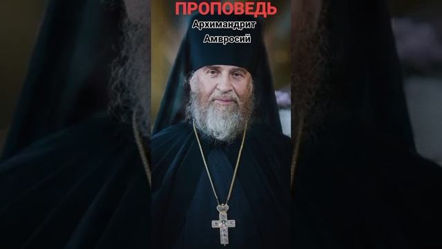 6 ноября 2023 г. смотреть онлайн