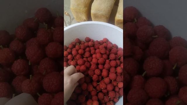 Кудрания повторная дегустация смотреть онлайн