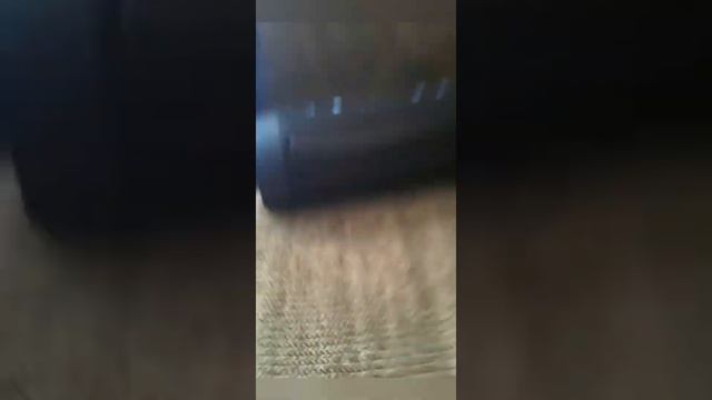 Колонка орёт!!!! АААААА смотреть онлайн