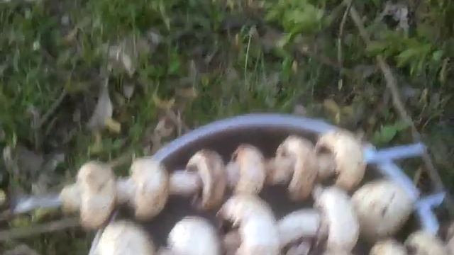 Шашлык из шампиньонов смотреть онлайн