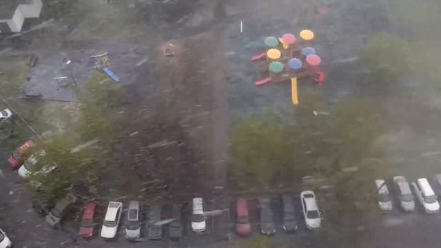 снег в мае 10 мая 2017г. Москва. Т +1,5°С смотреть онлайн