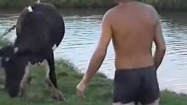 Нашествие коров смотреть онлайн