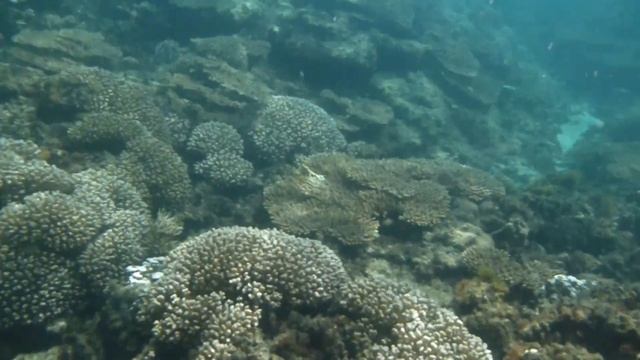 Panasonic Lumix FT4 (Norfolk Island) смотреть онлайн