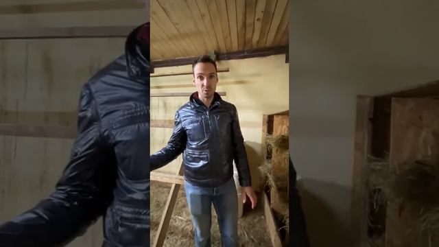 Сколько яиц несут куры? / Экскурсия по ферме Захаровых #shorts смотреть онлайн