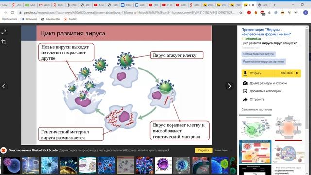 Вирусы - как происходит заражение (часть 3) смотреть онлайн