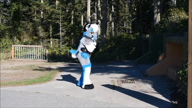 Fursuit Dance - Sabotage In 'The Way I Are'