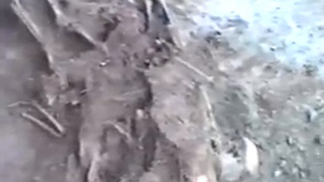 Раскопки "Каменка 2" 1997 год. смотреть онлайн