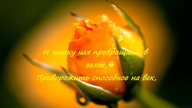 Поздравление женщин с * Марта смотреть онлайн