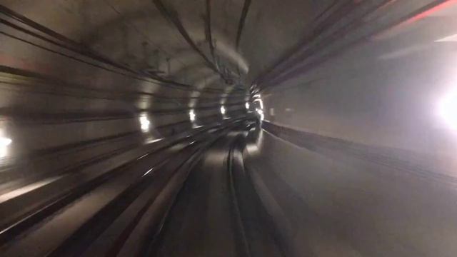 Что случилось со слепым мужчиной из-за неожиданного поступка его собаки-поводыря? смотреть онлайн