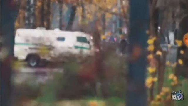 Паша пэл 3 года назад сейчас смотреть онлайн